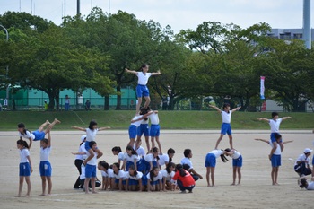 DSC20161006 (40)_r.JPG