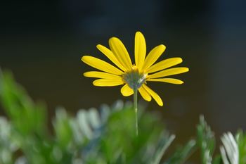 DSC20181029 (54)_R.JPG