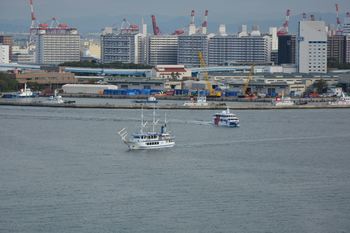 DSC20181101 (6)_R.JPG