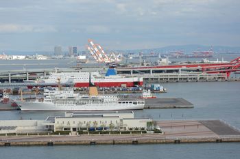 DSC20181101 (7)_R.JPG