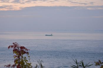 DSC20181127 (91)_R.JPG