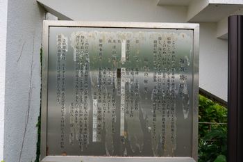 DSC20190703 (48)_R.JPG