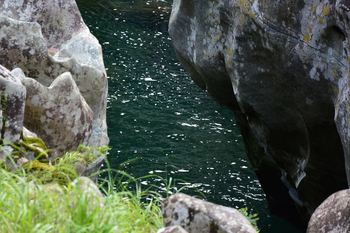 DSC20190803 (26)_R.JPG