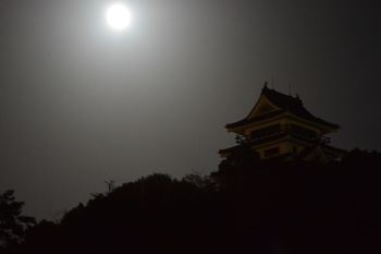 DSC20191013 (355)_R.JPG