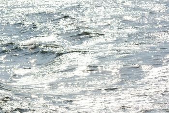DSC20191101 (179)_R.JPG