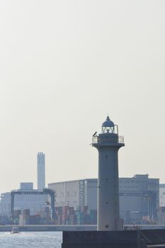 DSC20191101 (215)_R.JPG