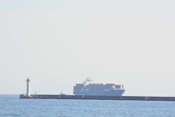 DSC20191101 (256)_R.JPG
