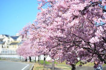 DSC20200306 (122)_R.JPG