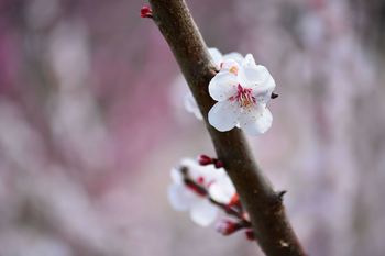 DSC20210306 (27)_R.JPG