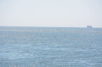 DSC20210529 (226)_R.JPG