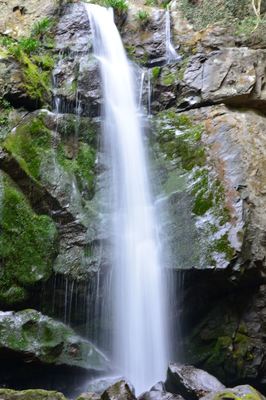 DSC20220330 (227)_R.JPG