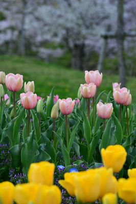 DSC20220404 (126)_R.JPG