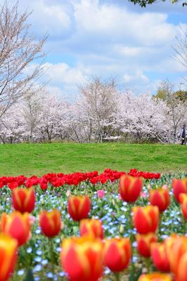 DSC20220404 (152)_R.JPG