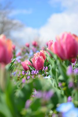 DSC20220404 (182)_R.JPG
