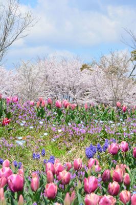 DSC20220404 (187)_R.JPG