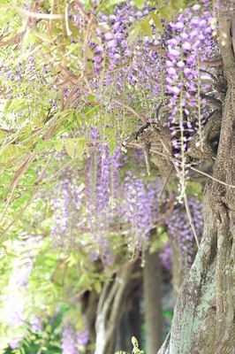 DSC20230421 (11)_R.JPG