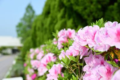 DSC20230421 (1)_R.JPG