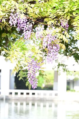 DSC20230421 (20)_R.JPG