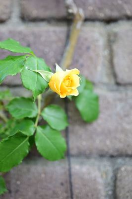 DSC20230427 (19)_R.JPG