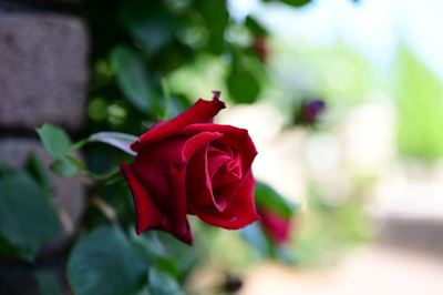 DSC20230427 (20)_R.JPG