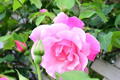 DSC20230427 (58)_R.JPG