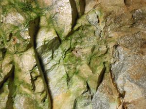 DSCN20140724 (14)_R.JPG