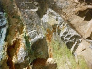 DSCN20140724 (19)_R.JPG