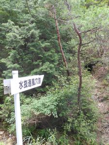 DSCN20140724 (26)_R.JPG