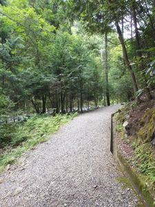 DSCN20140724 (3)_R.JPG