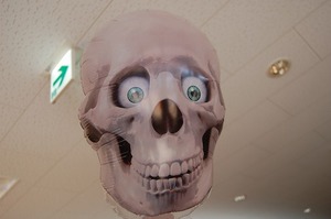 DSC_0257.jpg