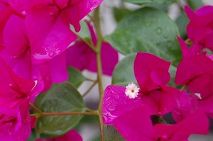 DSC_20091002-1.jpg