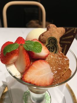 IMG_0381_R.JPG