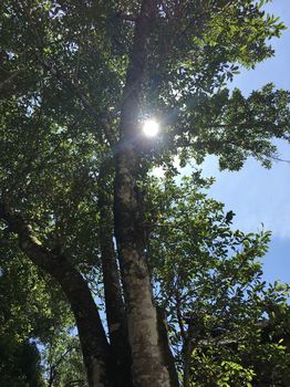 IMG_3259_R.JPG