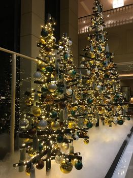 IMG_4245_R.JPG