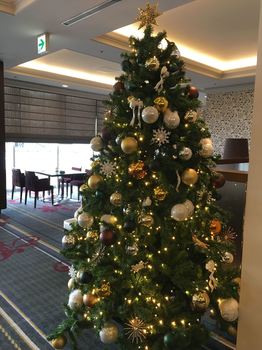 IMG_4247_R.JPG