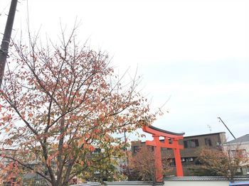 IMG_4703_R.JPG
