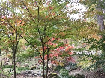 IMG_4736_R.JPG