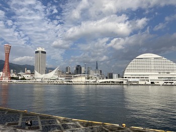IMG_5230.jpg