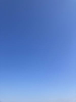 IMG_6061_R.JPG