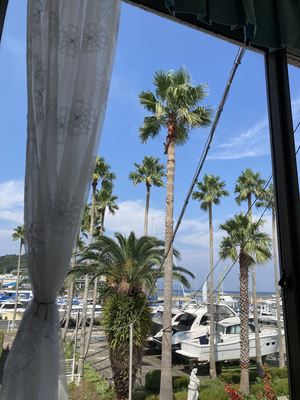IMG_6081_R.JPG