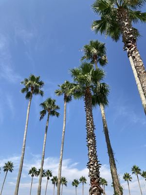 IMG_6088_R.JPG