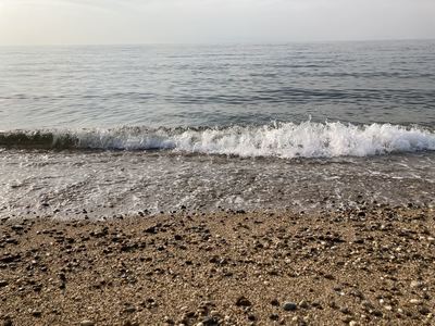 IMG_6125_R.JPG