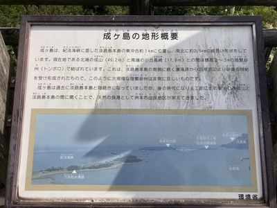IMG_7538_R.JPG