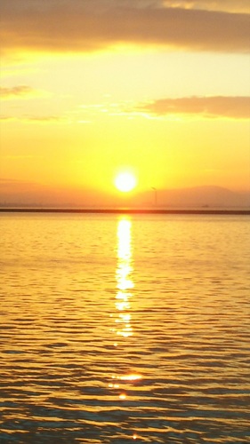 IMG_7574_r.JPG