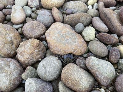 IMG_7587_R.JPG
