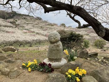 IMG_8715_R.JPG