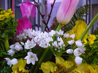 P1000037.jpg