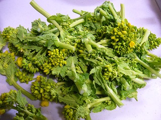 P1000052.jpg
