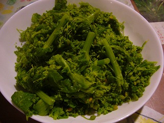 P1000053.jpg