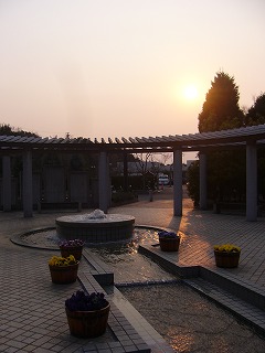 P1000056.jpg